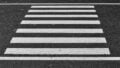 crosswalk zebra