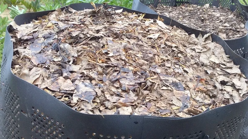 20250420 sotetsu matsuba compost bin