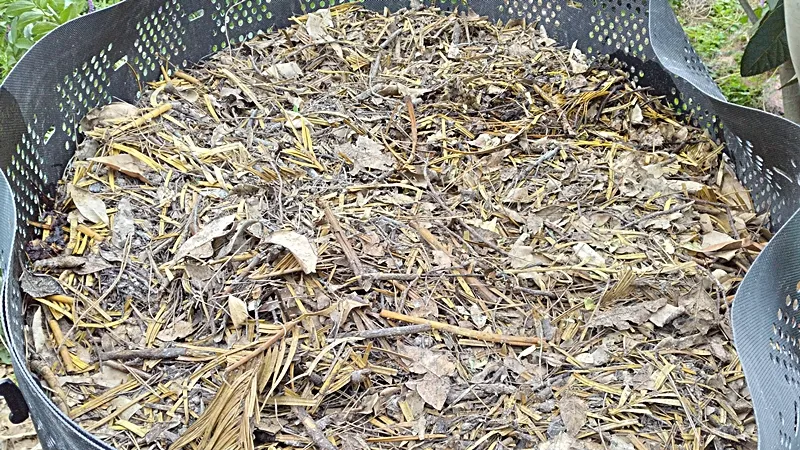 20250511 sotetsu matsuba compost bin