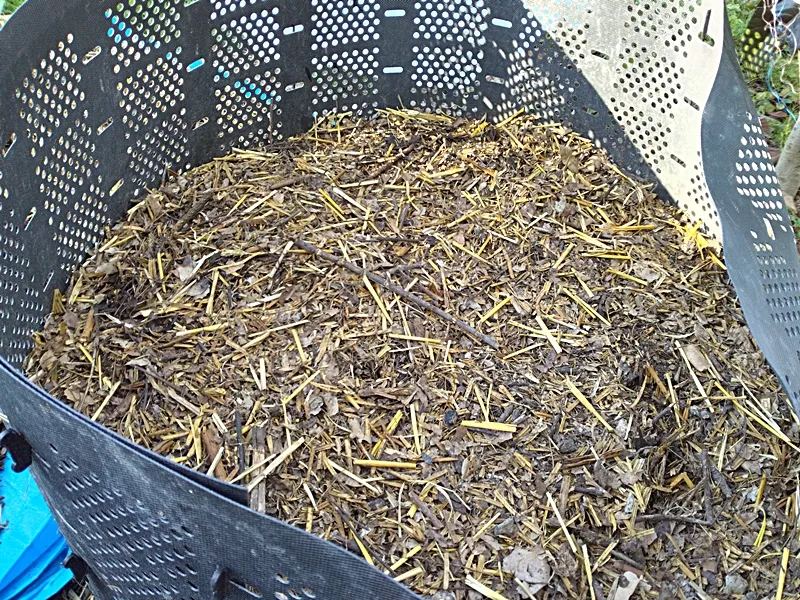 20250721 sotetsu matsuba compost bin