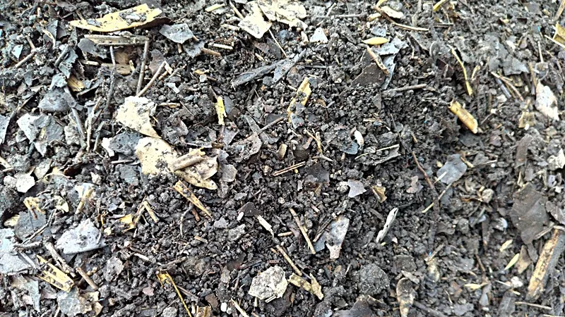 20250721 sotetsu matsuba taihi