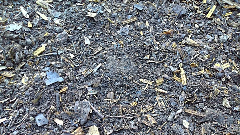 20250817 sotetsu matsuba composter