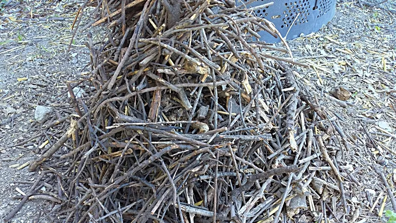 Senteishi compost nokori eda