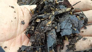 Leaf compost soil completed in four months